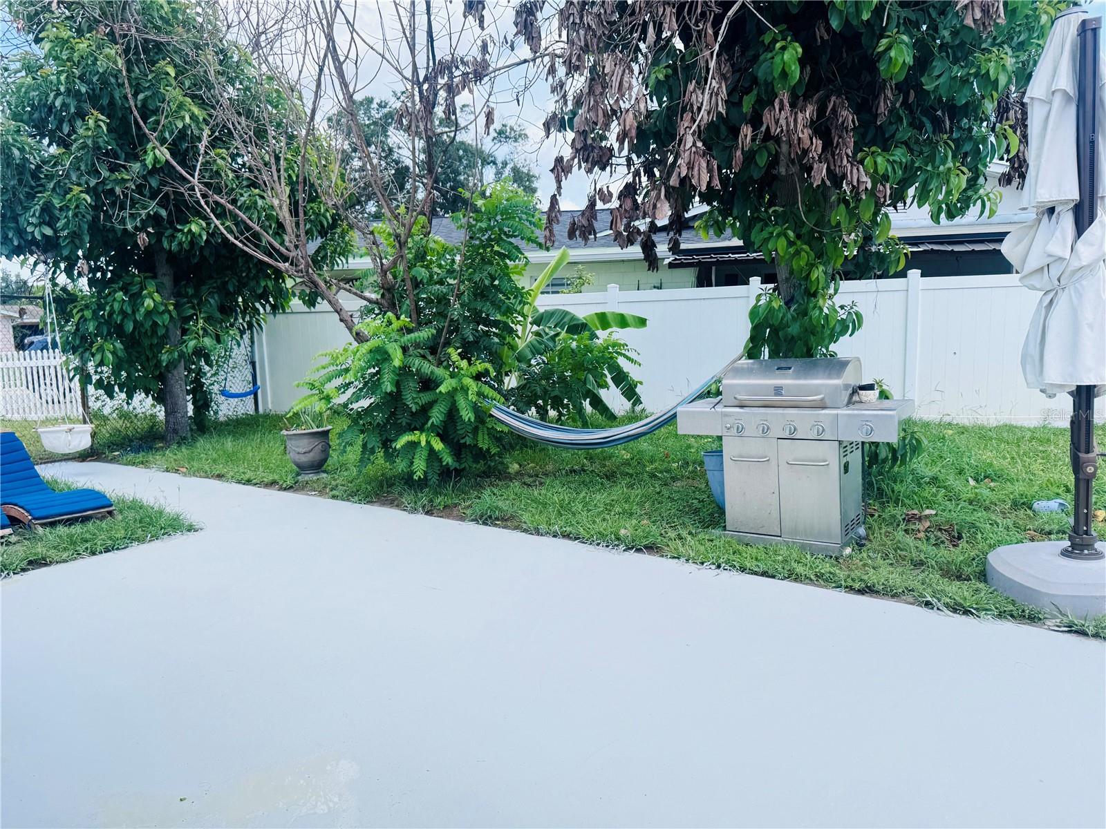 Photo 45