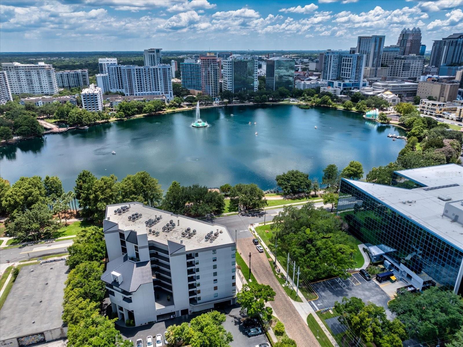 401 E ROBINSON STREET Unit 304