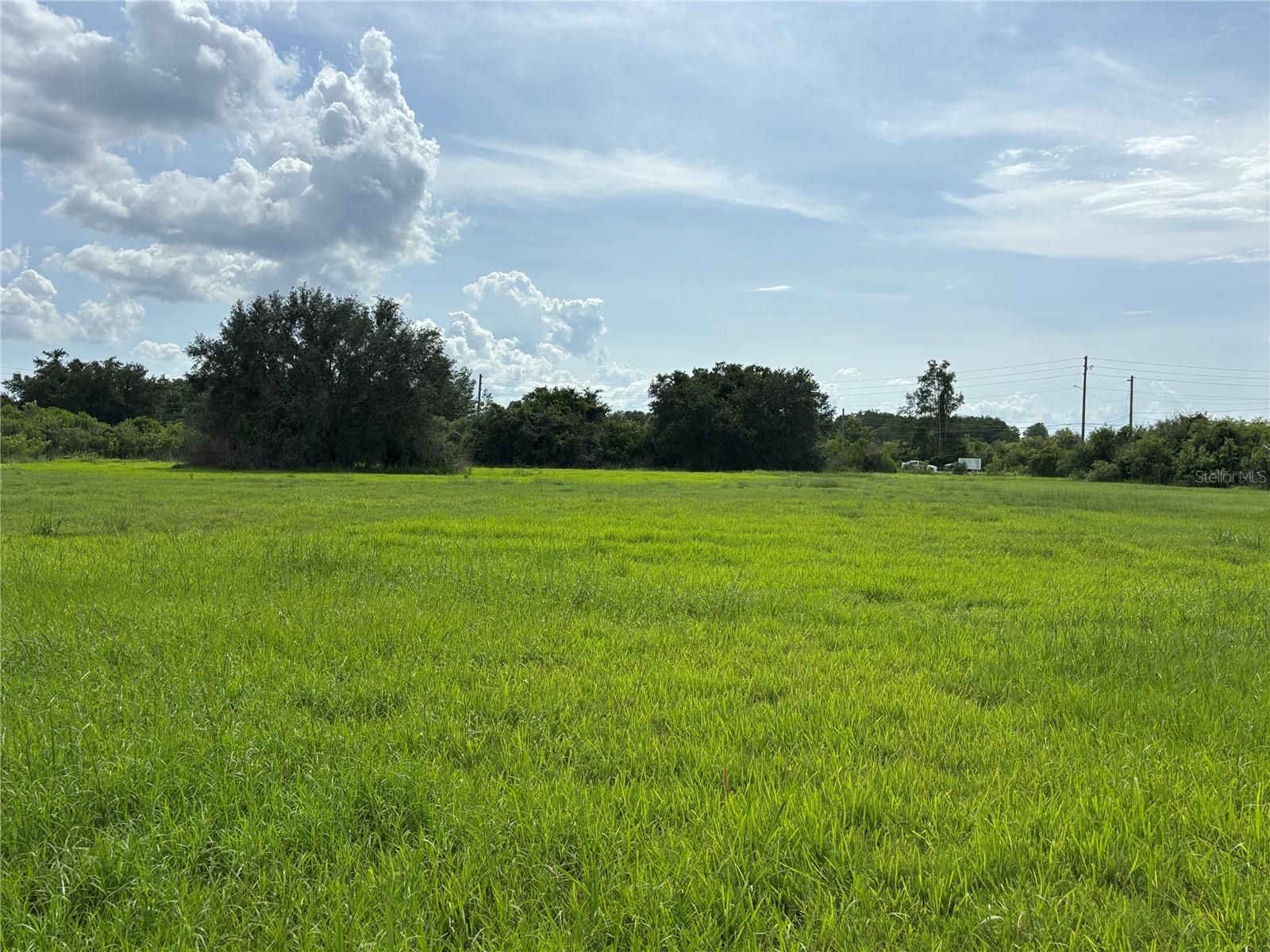 Photo 48