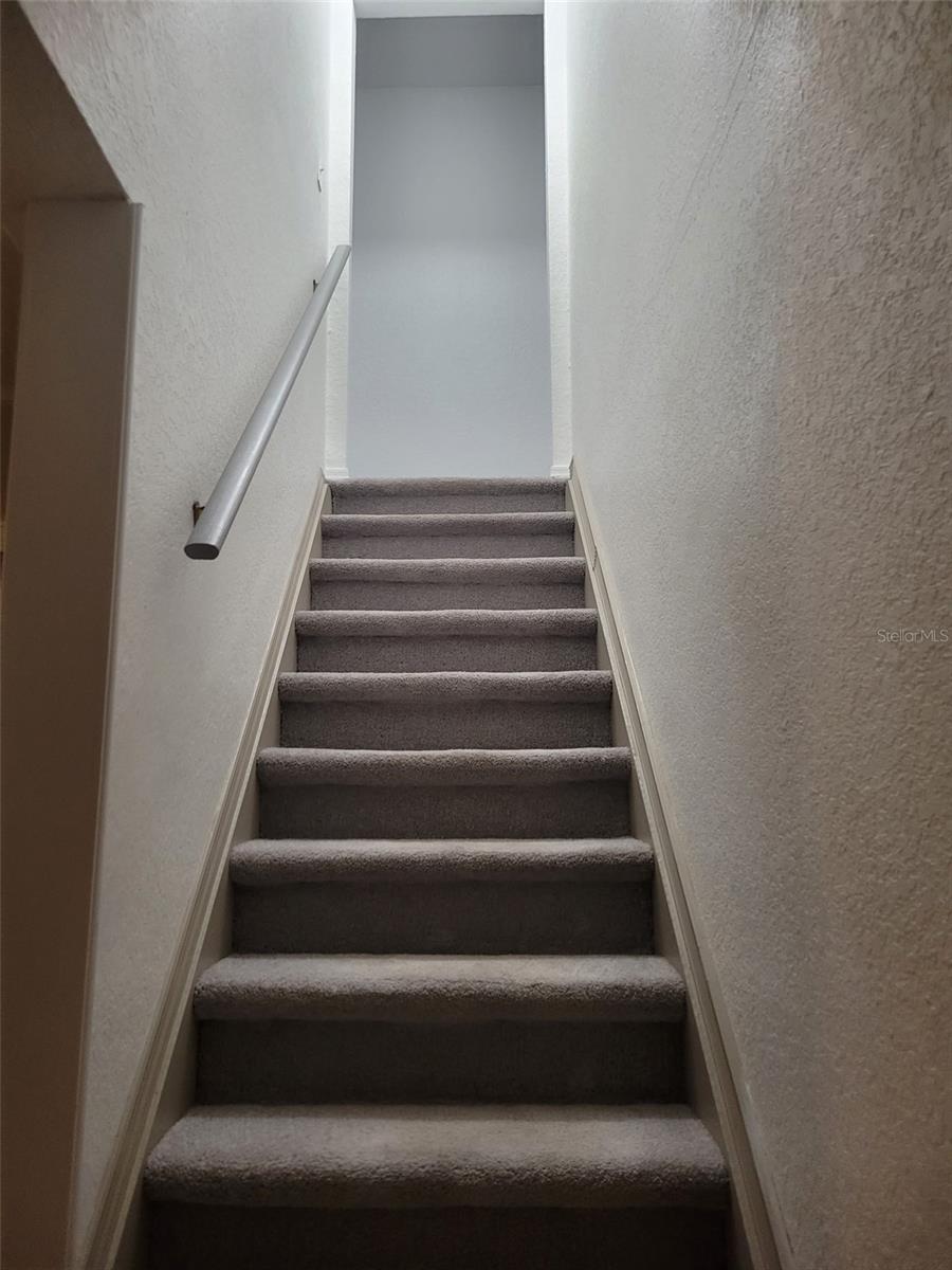 Photo 51