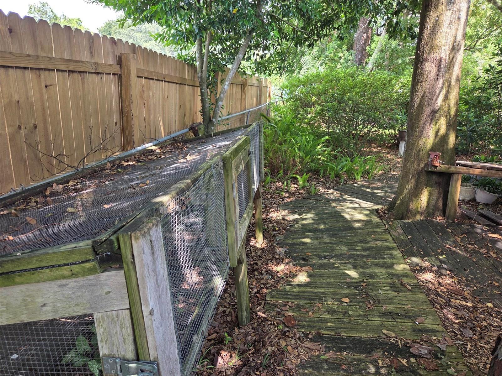 Photo 48