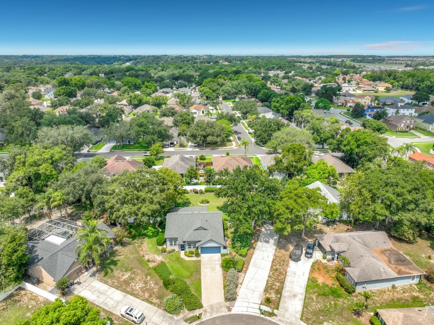 Photo 69