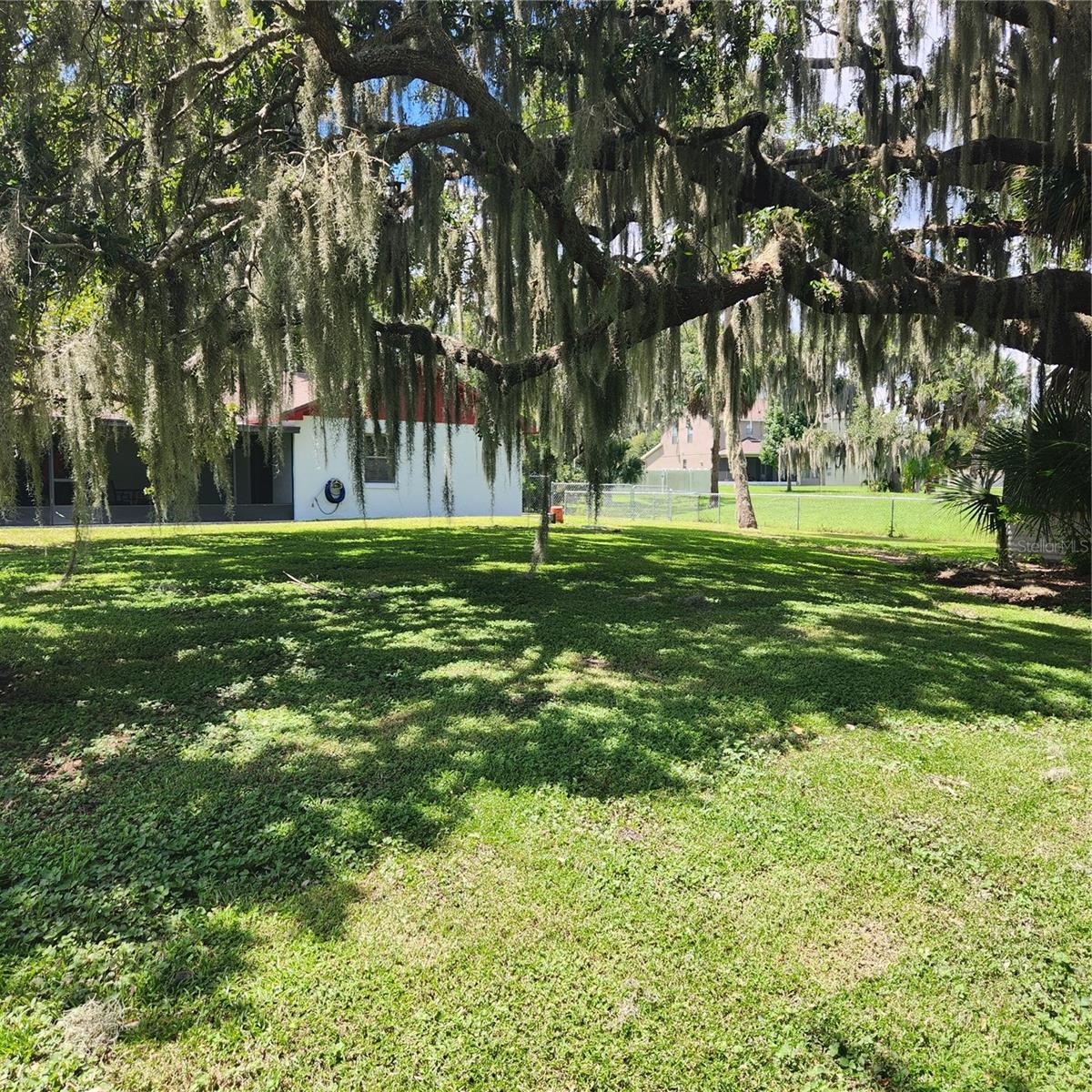 Photo 48