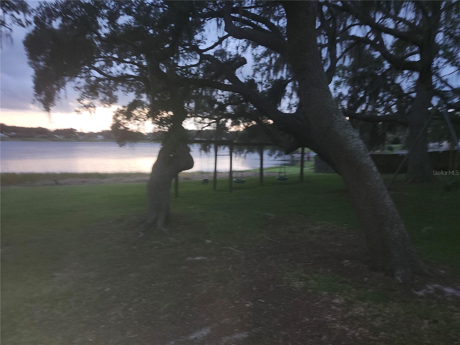 Photo 61