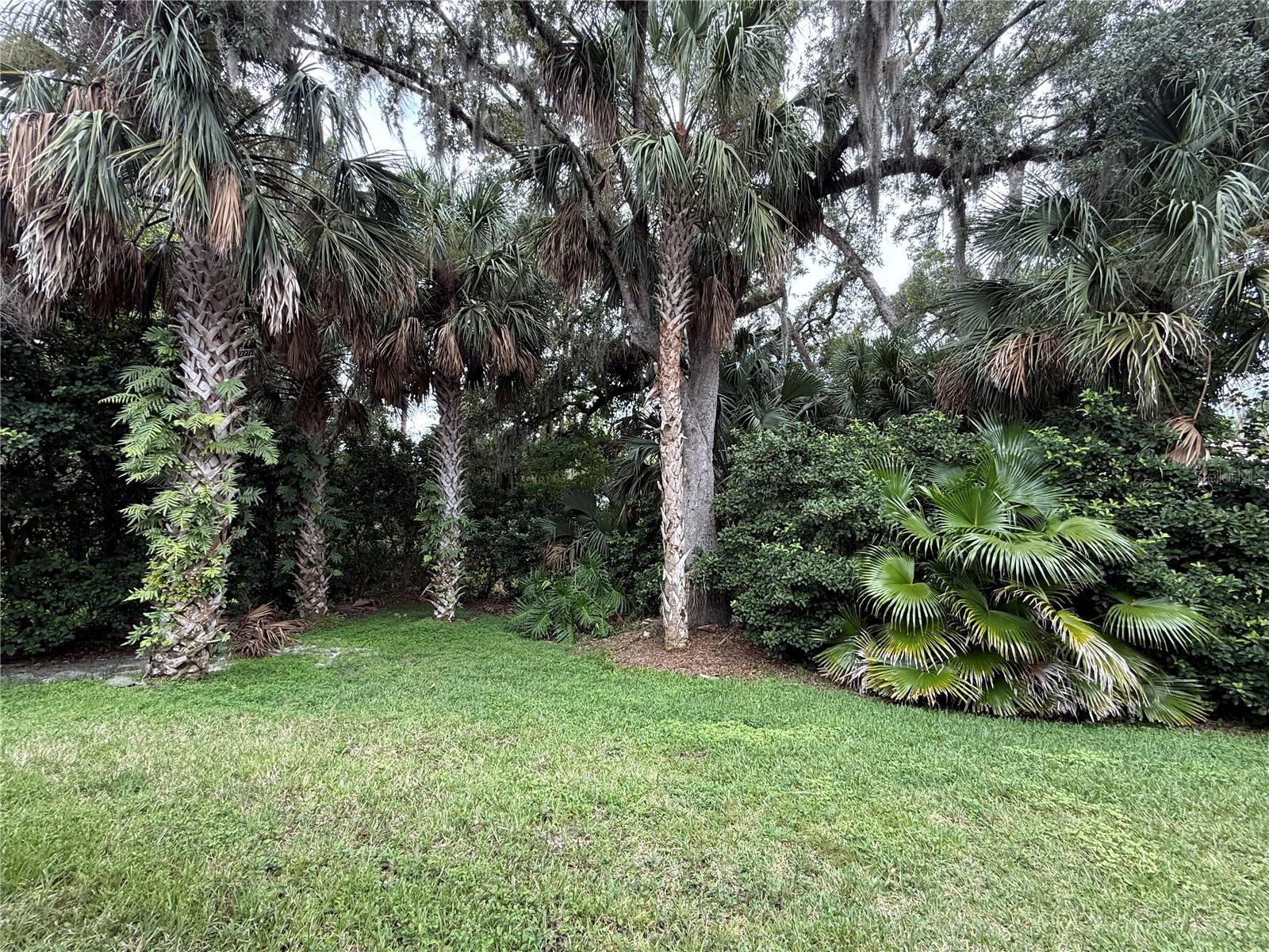 Photo 30