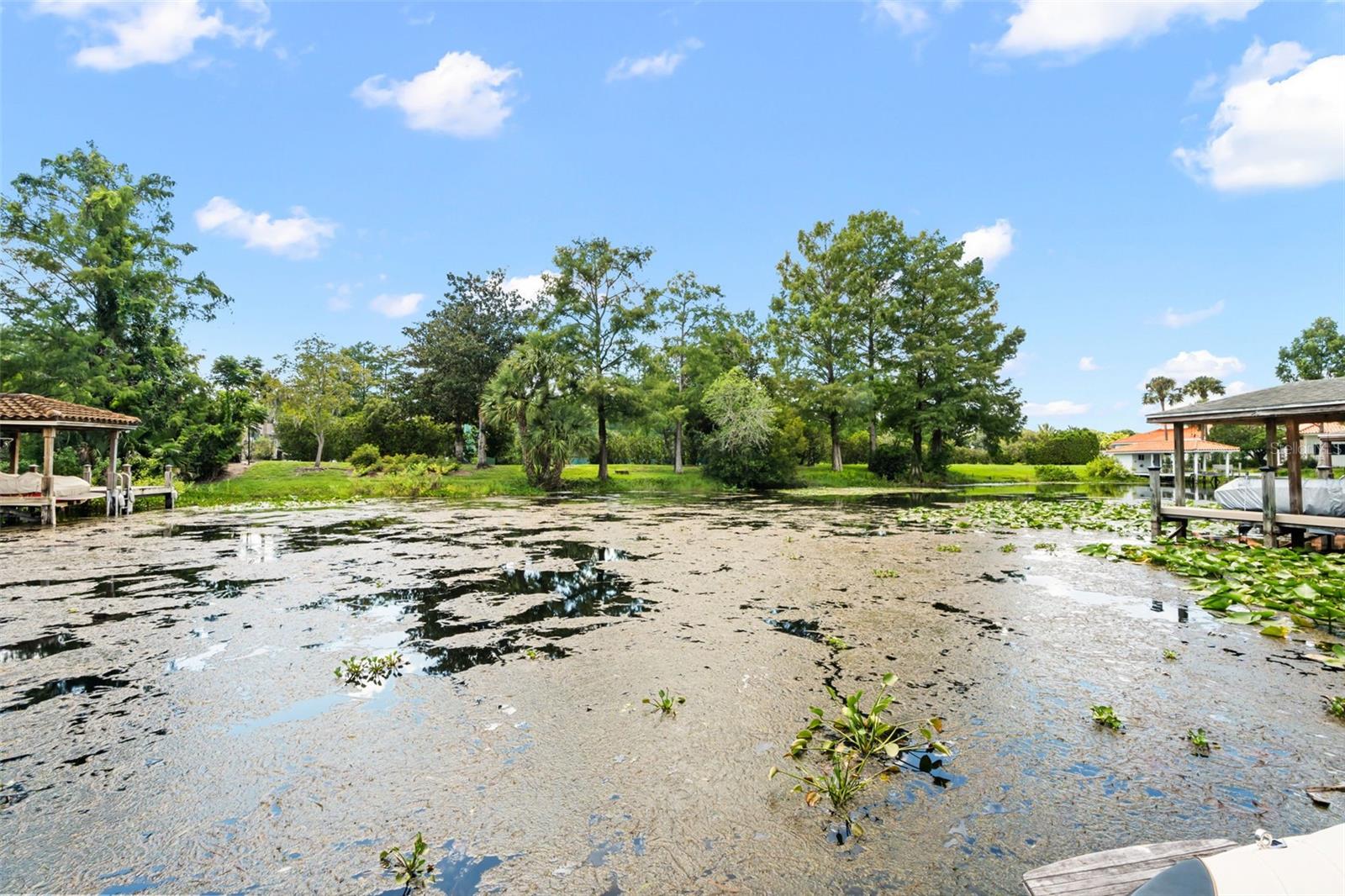 Photo 58
