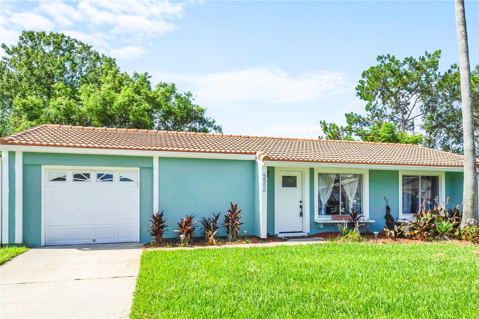 5556 MEMORIAL DRIVE