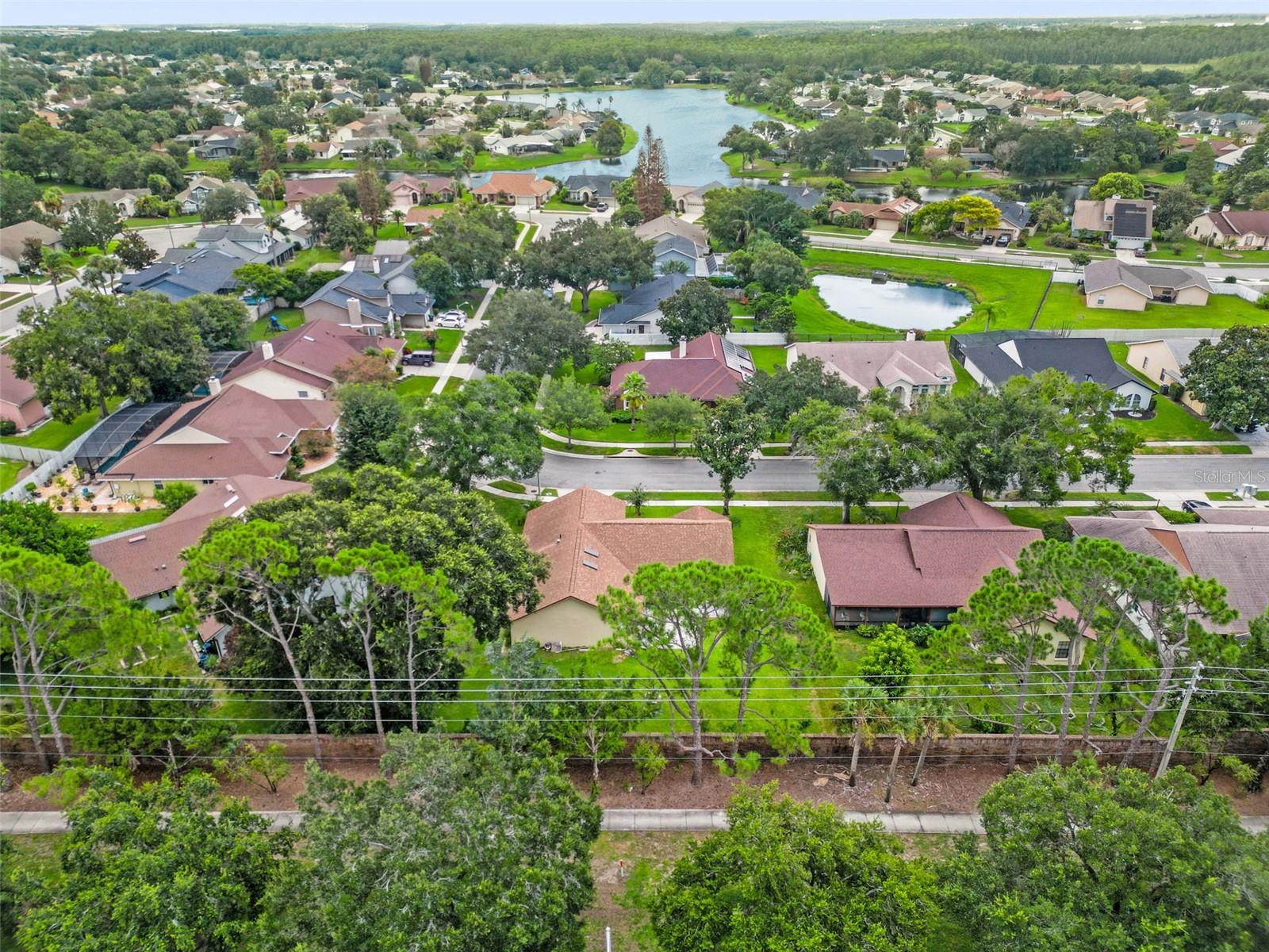 Photo 37