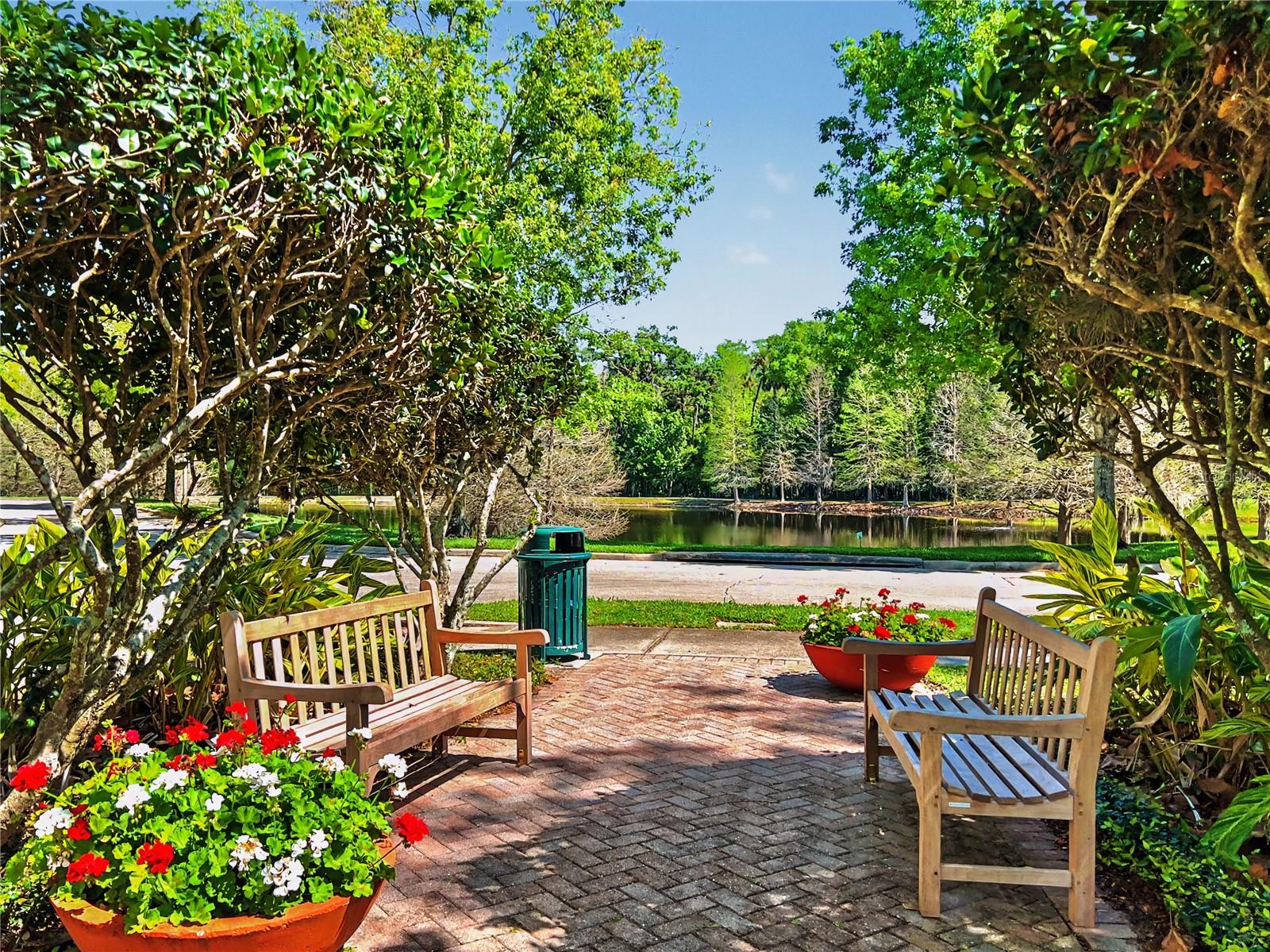 Photo 42
