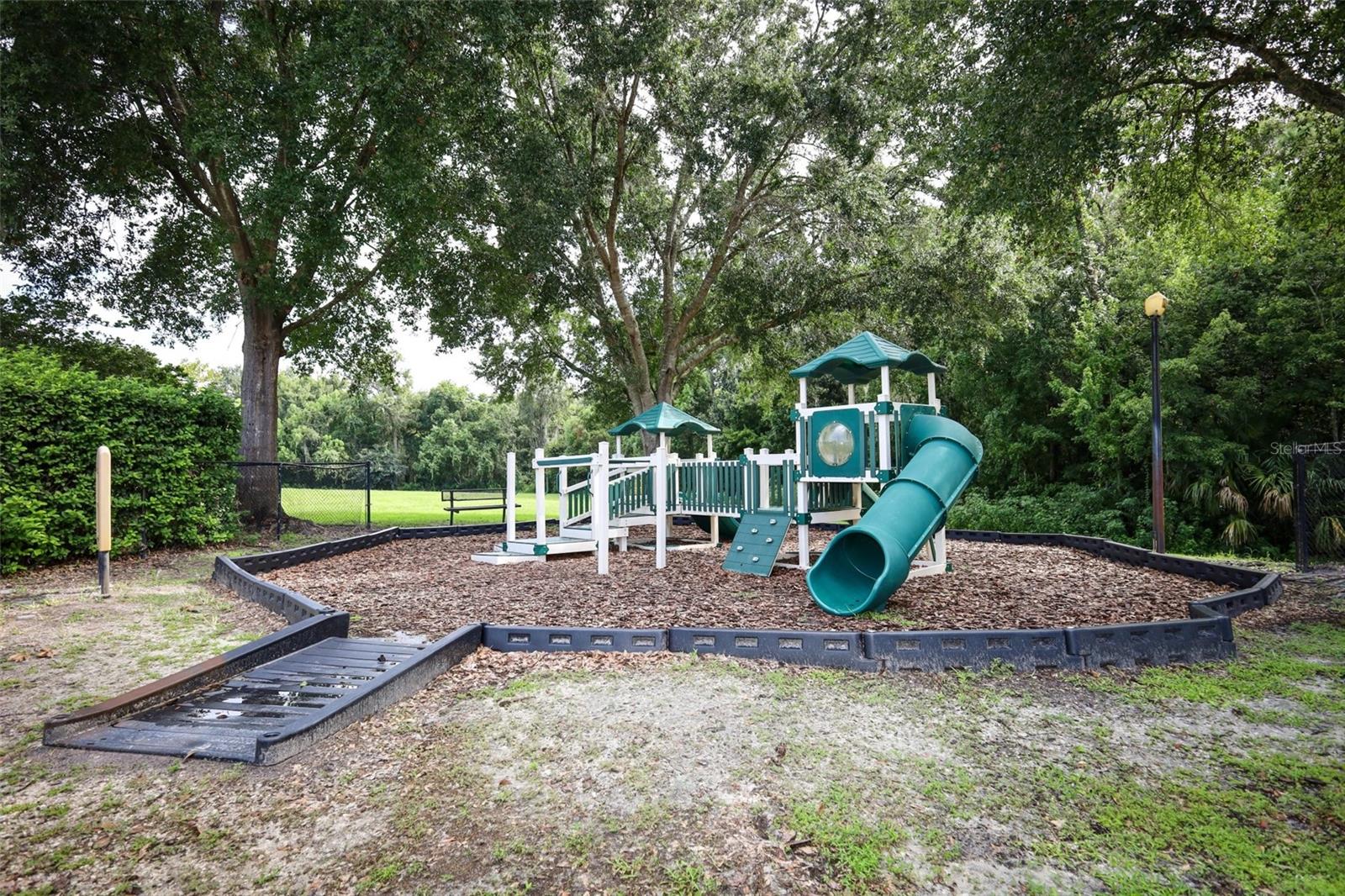 Photo 56