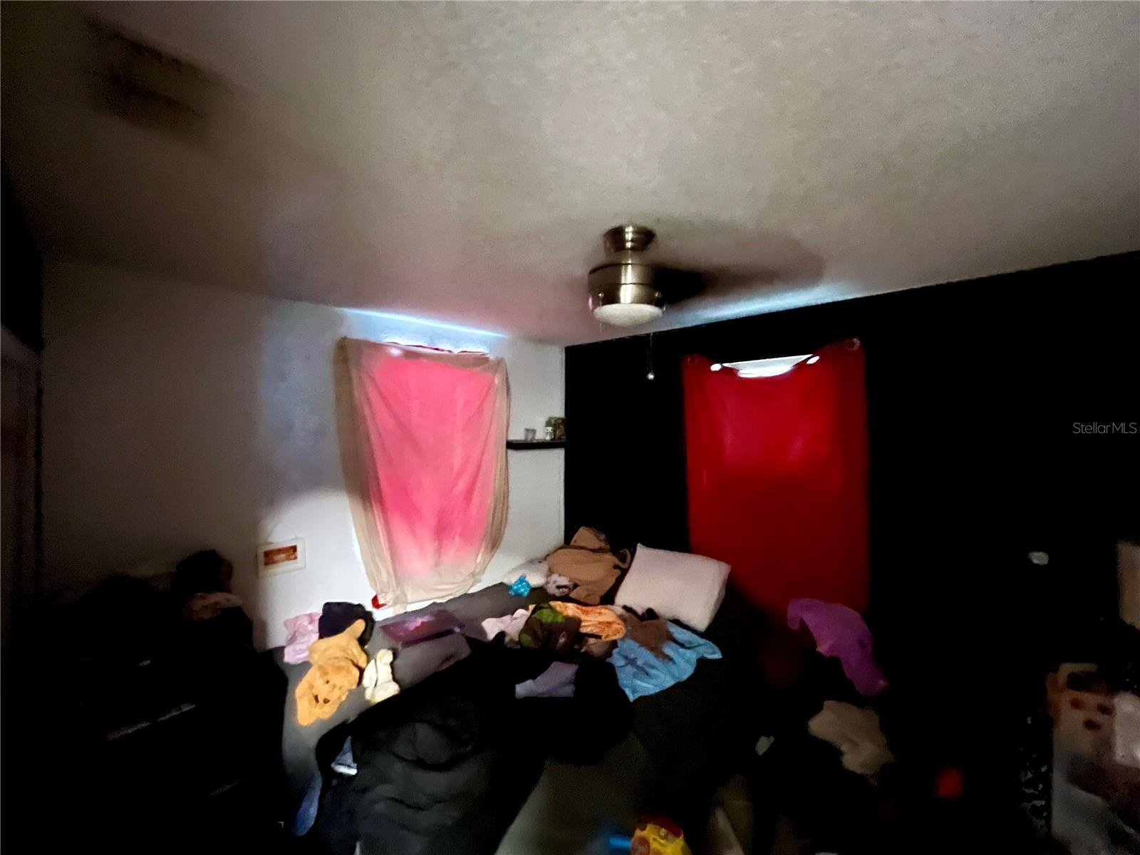 Photo 48