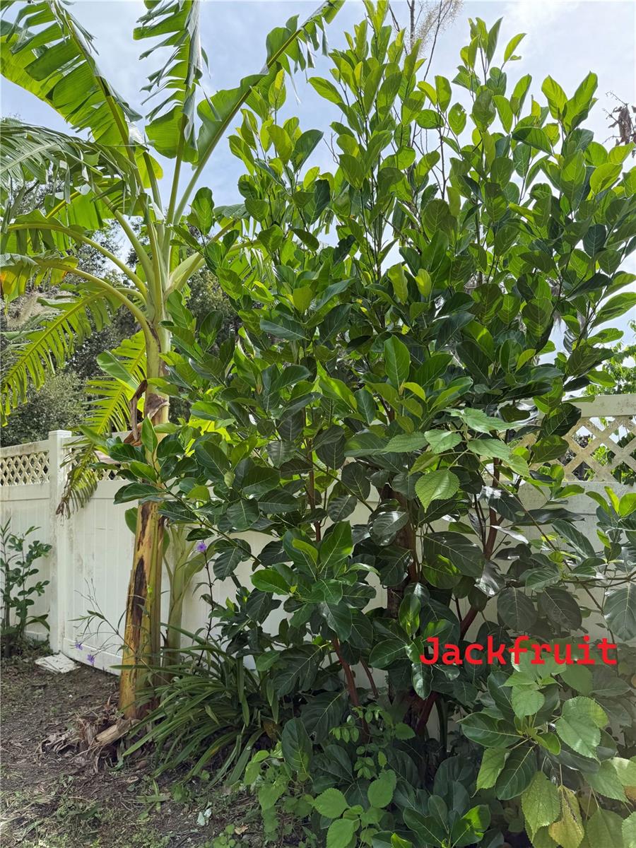Photo 49