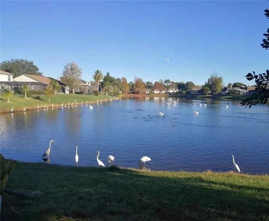 Photo 32