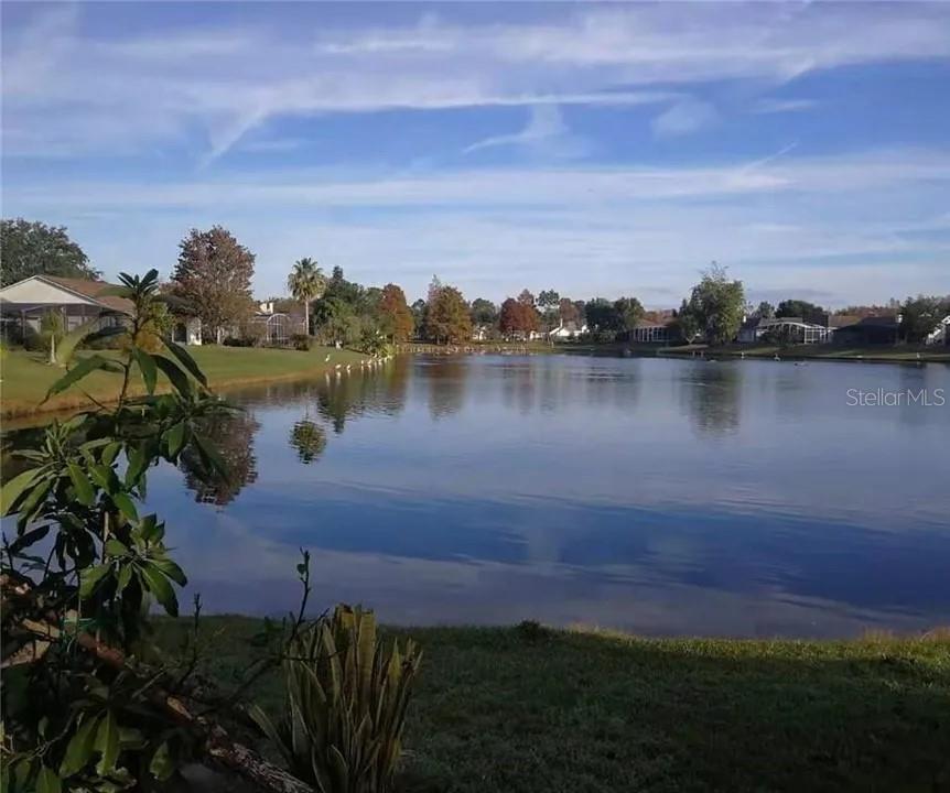 Photo 33