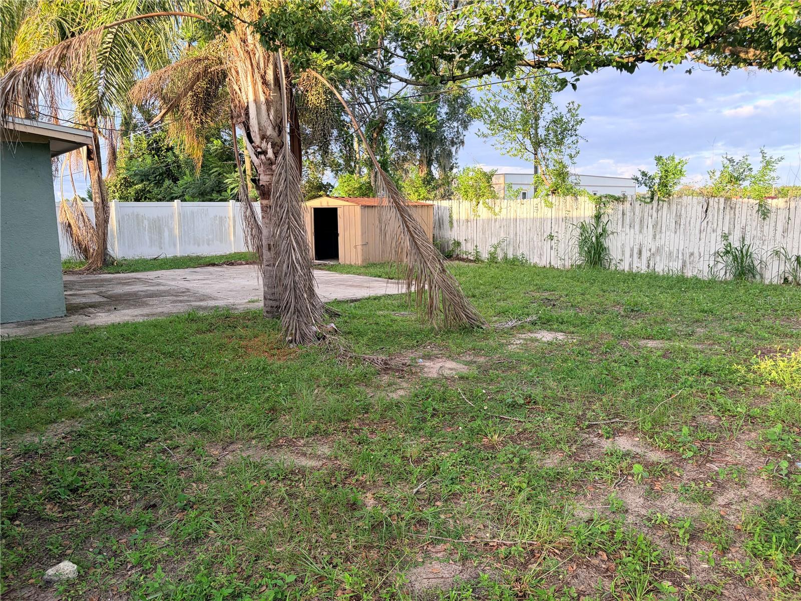 Photo 29