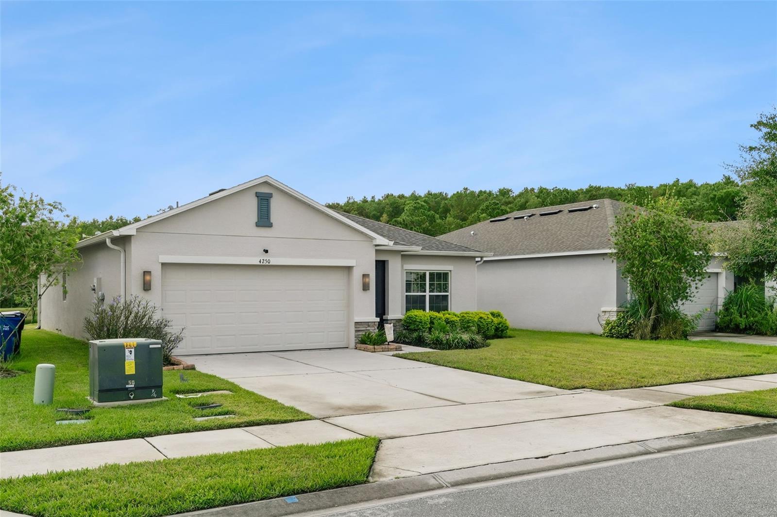 4250 SOUTHERN VISTA LOOP