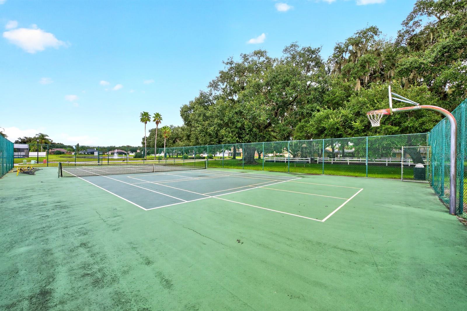 Photo 46