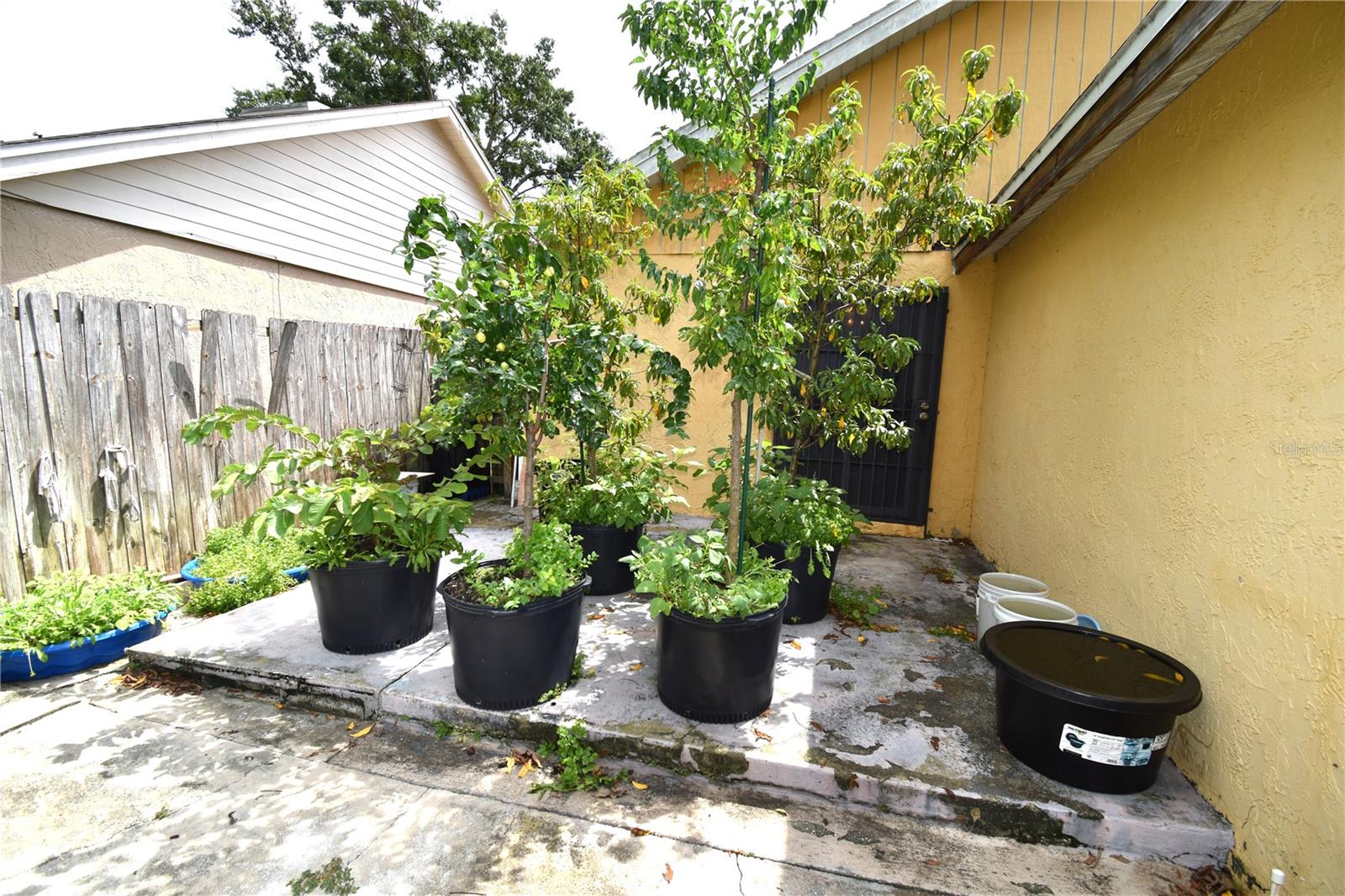 Photo 25