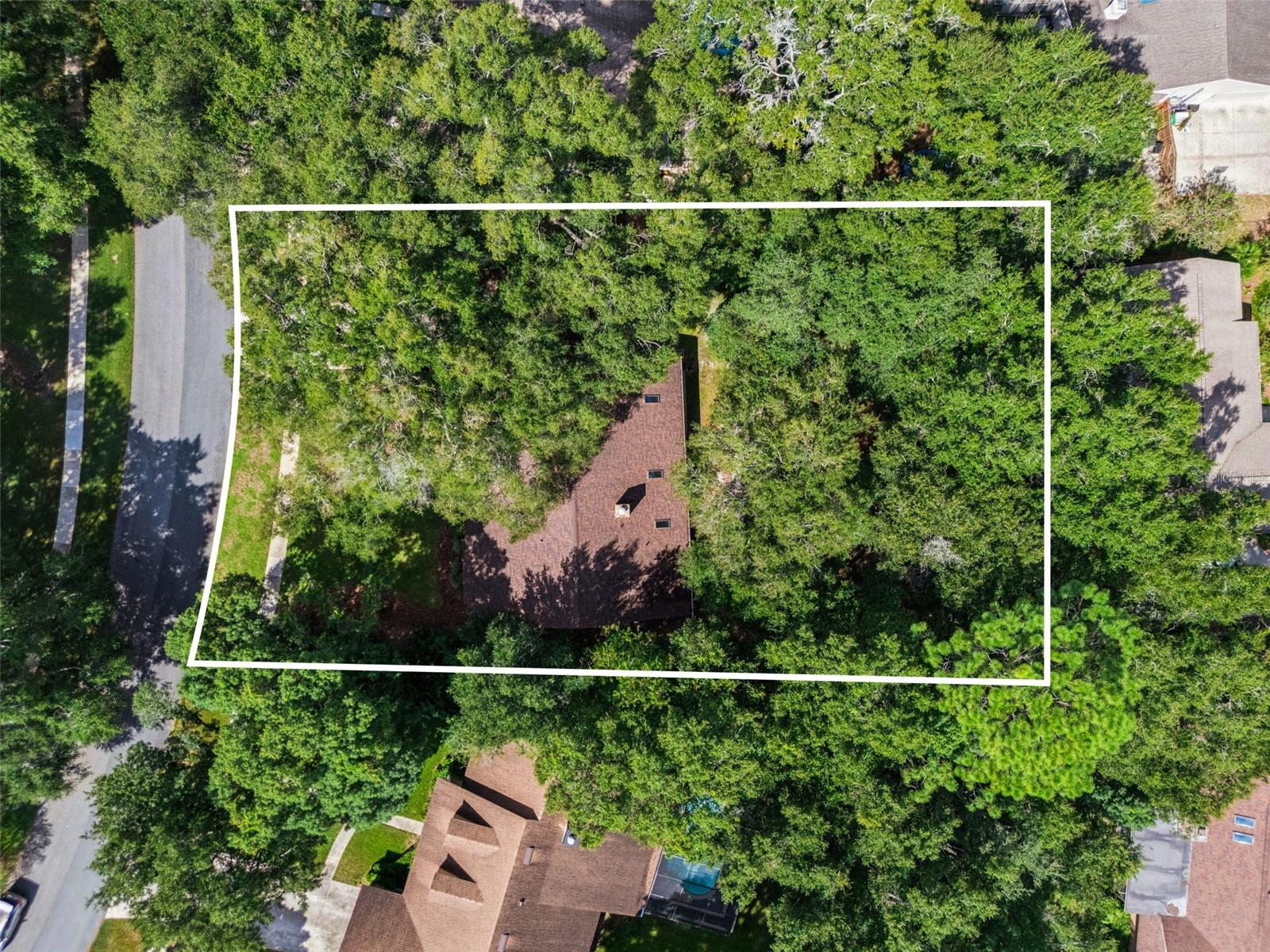 Photo 28