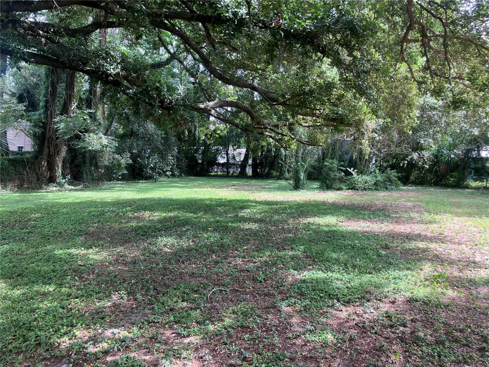 Listing photo 3 for 2013 Live Oak Dr