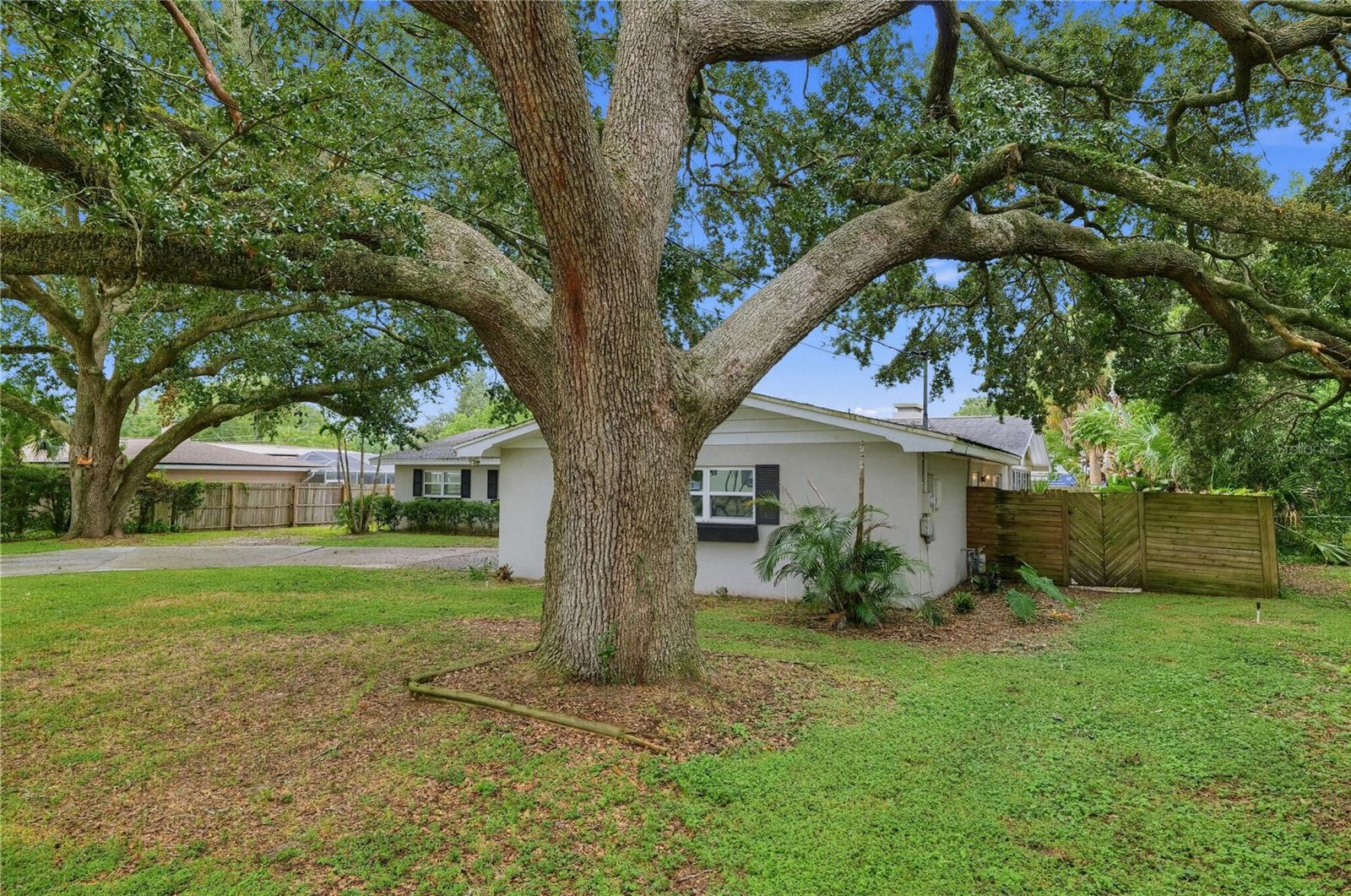 Listing photo 3 for 714 Avenue O Se