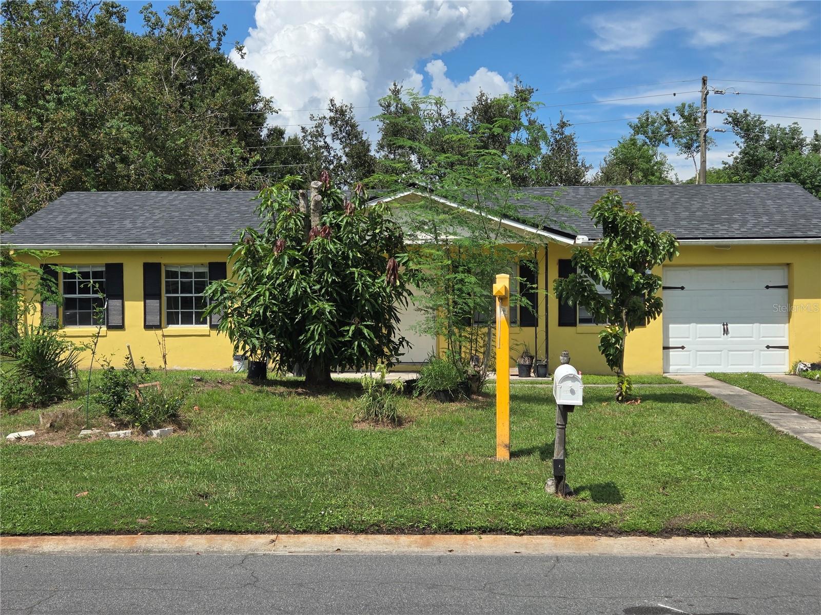 221 CITRUS DRIVE