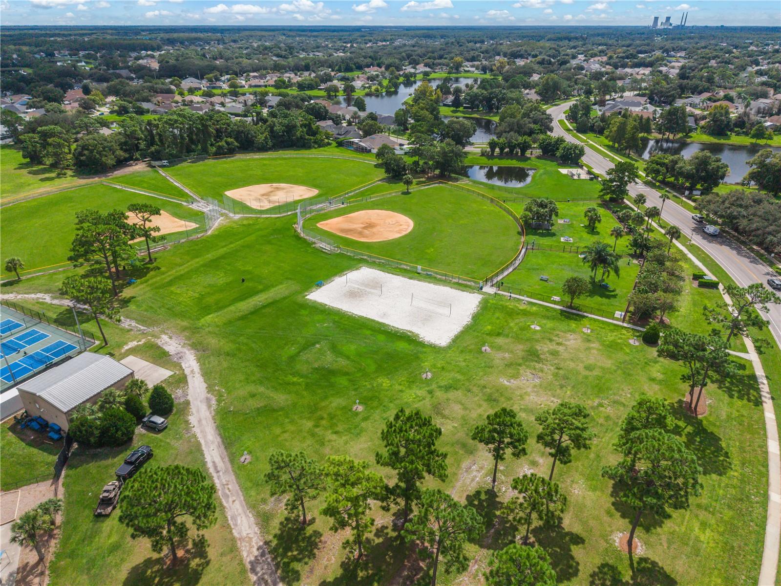 Photo 24