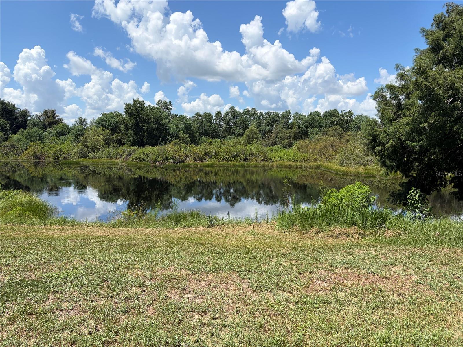 Listing photo 2 for 34205 Radio Rd