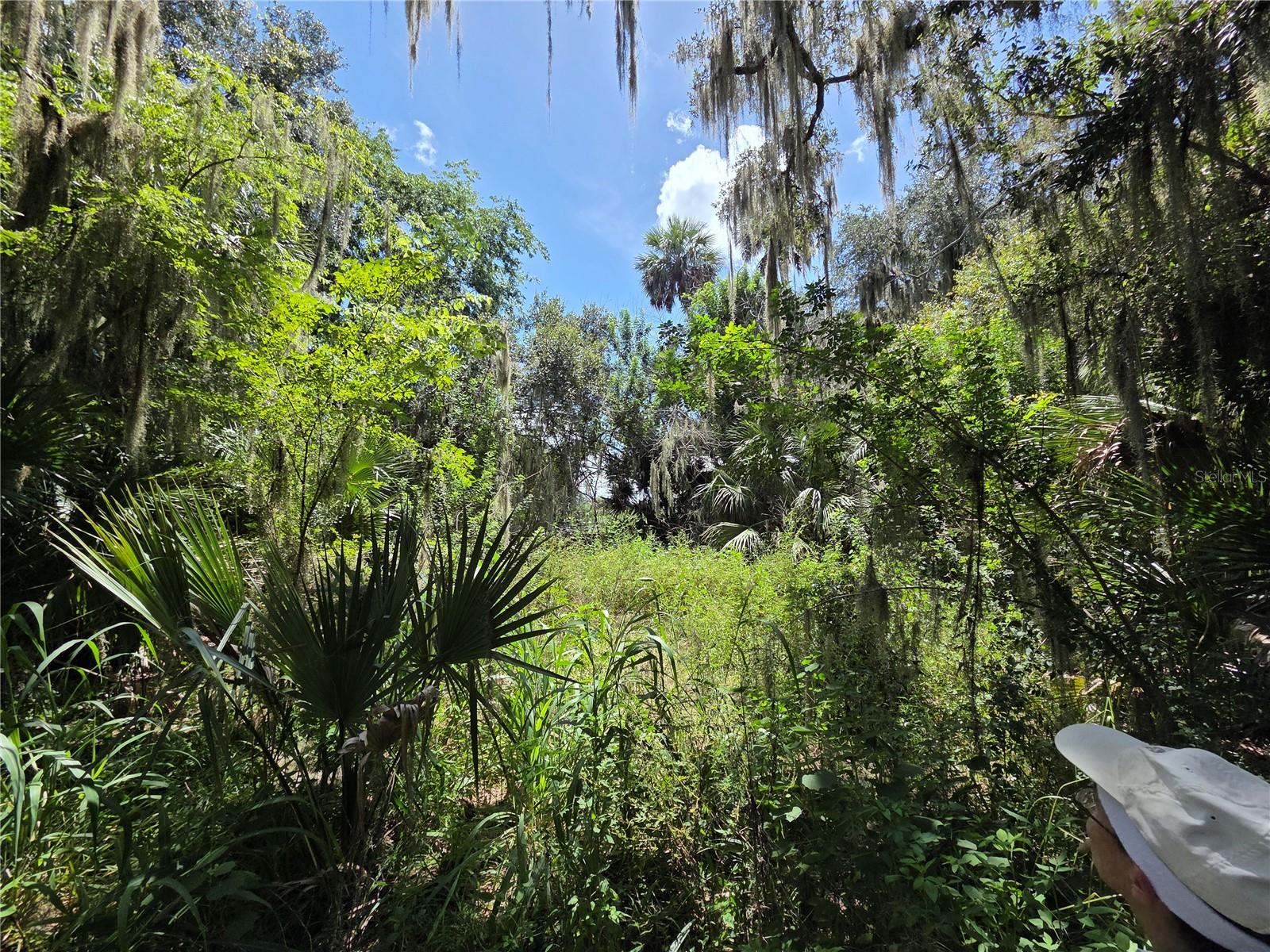 Photo 25