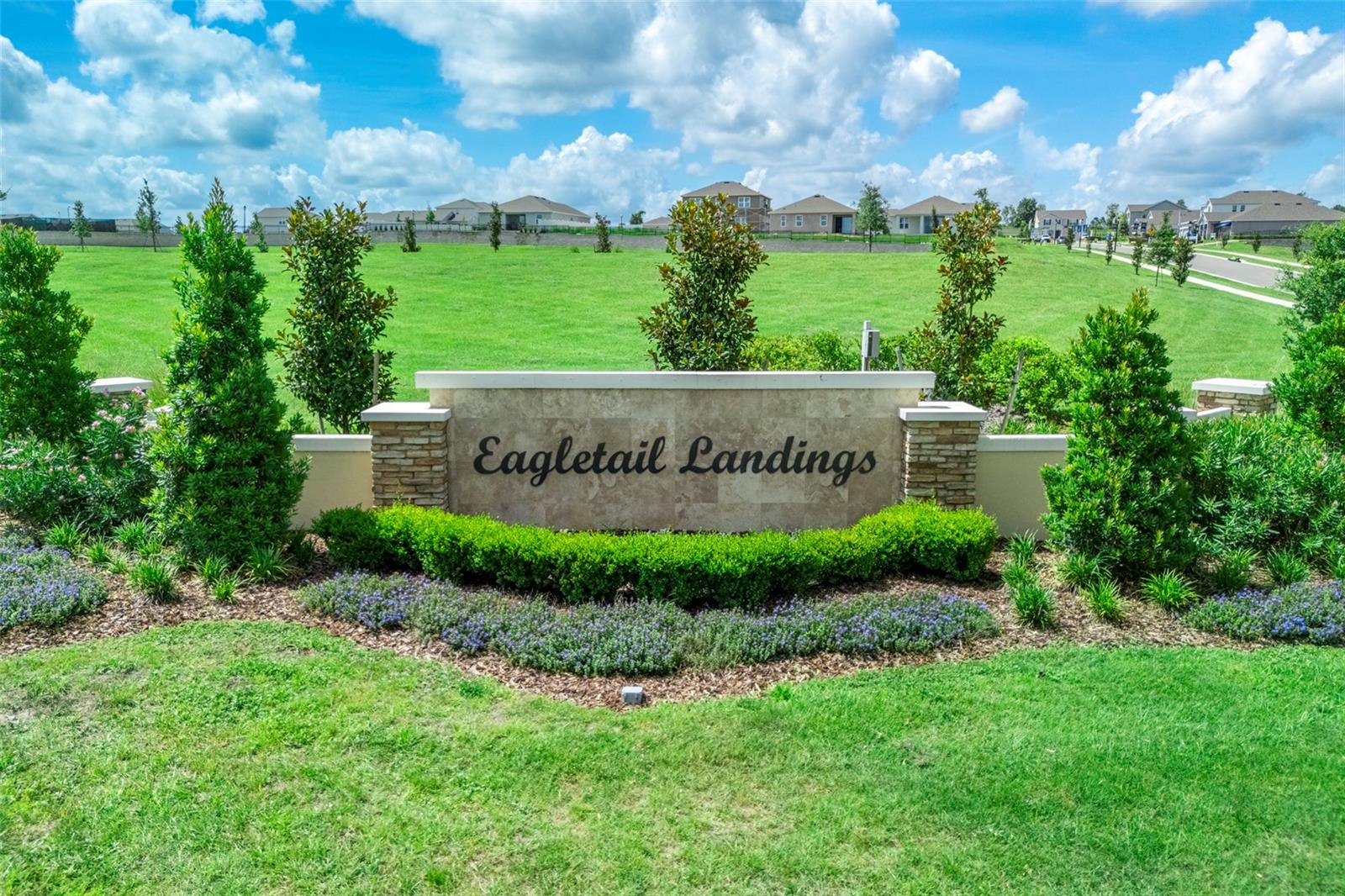 Listing photo 2 for 27452 Black Kite Ave