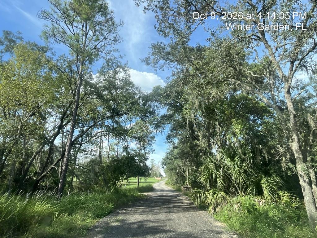 Listing photo for 9901 Avalon Woods Dr